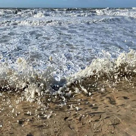 In Near & Dunes アパート *