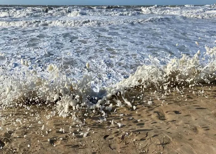 In Near & Dunes アパート *